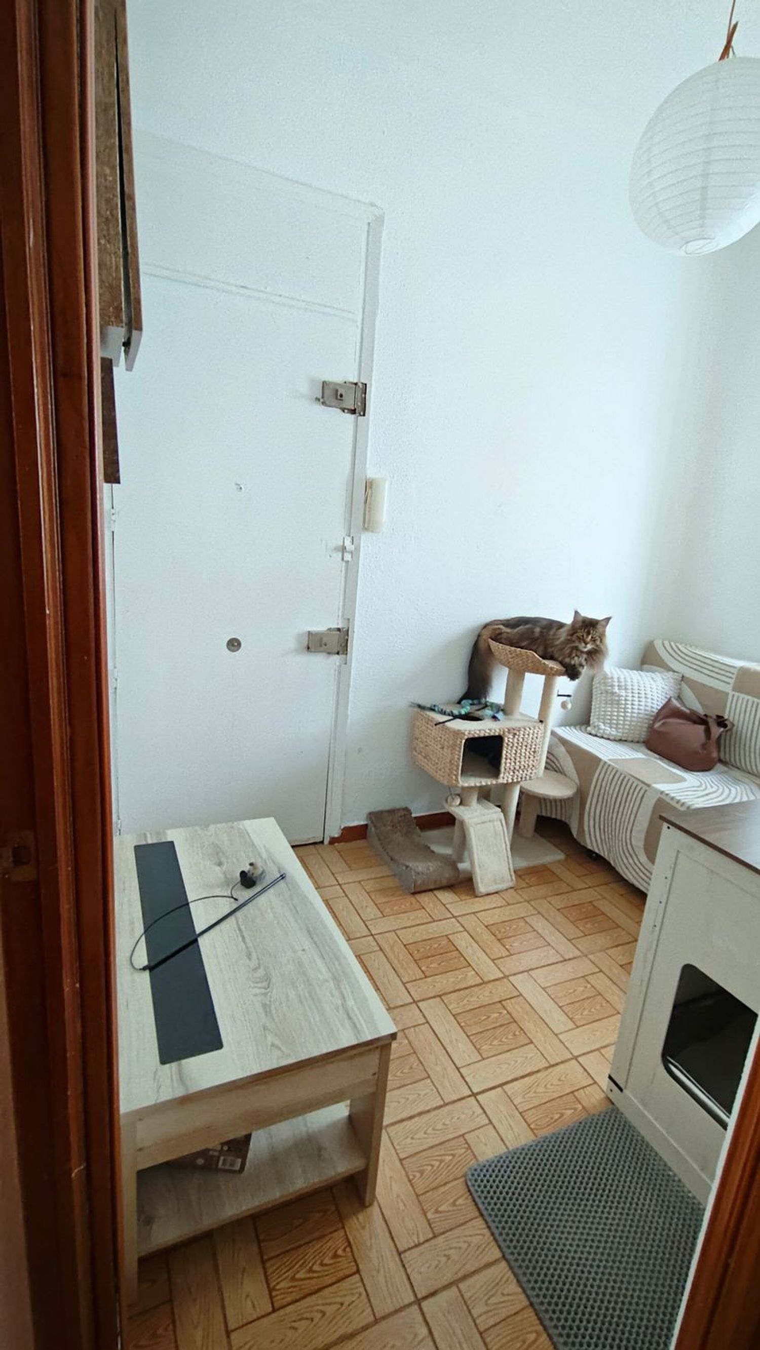 Piso en Calle de Menorca, 20, Ibiza - Foto 10