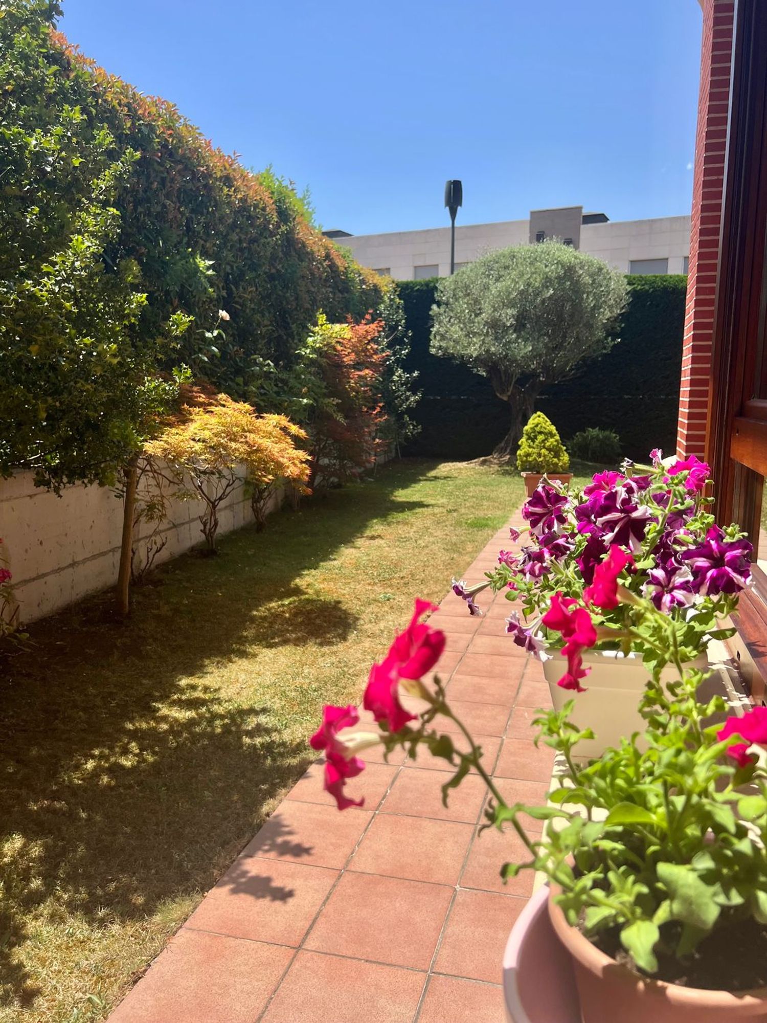 Chalet adosado en Zabalgana - Ariznabarra, Zabalgana - Ariznabarra - Foto 5