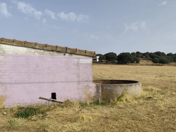 Finca rústica en Avenida de Constitución s/n - Foto 33