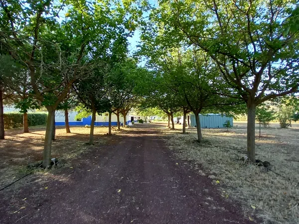 Finca rústica en Camino de Peñalucía s/n - Foto 5