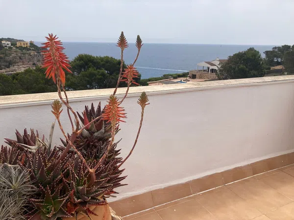 Ático en Calle de sa Cova des Vell Mari, 16, Cala Santanyí, Cala Santanyí - Foto 5