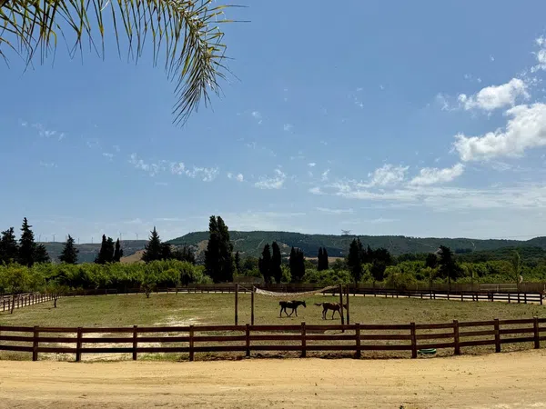 Cortijo en Cortijo en Ca-8200, 8200 Ca-8200 - Foto 4