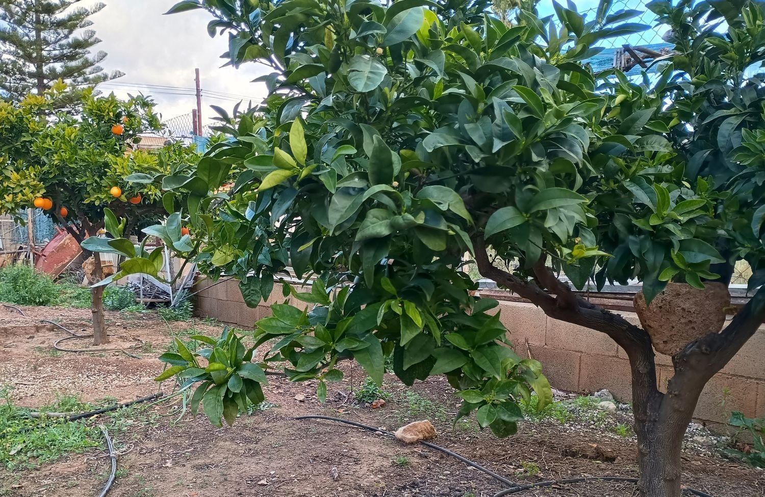 Casa independiente en Urb. rio park Valle del Sol - Rio Park - Foto 31