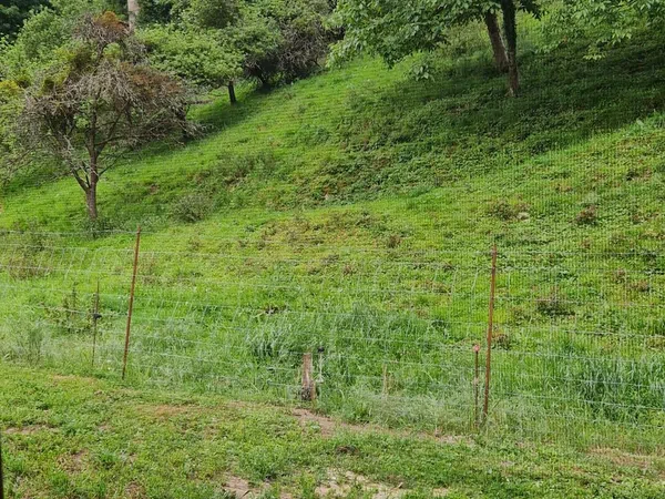 Casa rural en Figares, 17 - Foto 12
