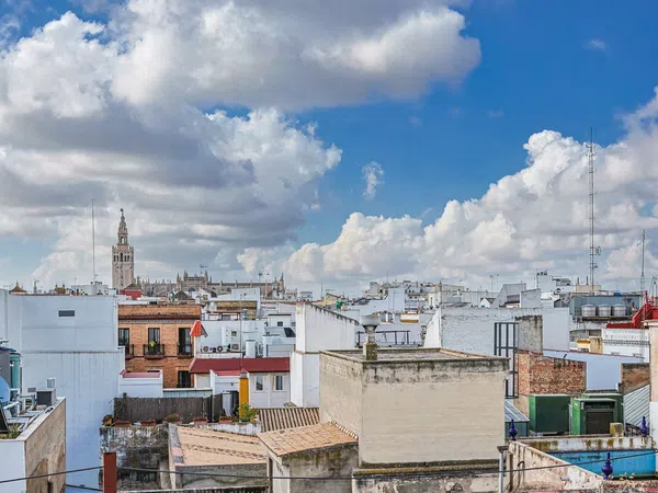 Piso en Callejón Azofaifo, 9, Santa Cruz - Alfalfa - Foto 26