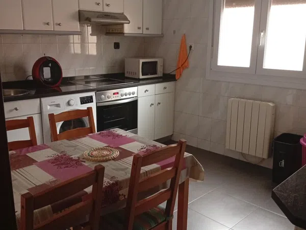 Estudio en Calle Lapurdi, 8, Rontegui-Pormetxeta, Rontegui-Pormetxeta - Foto 10