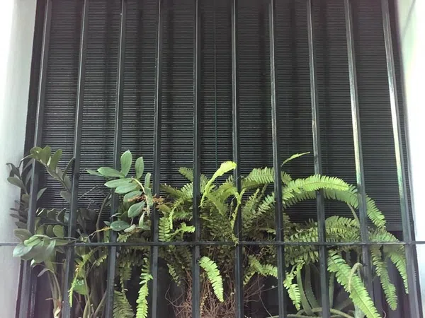 Piso en calle Evangelista, 26 - Foto 2