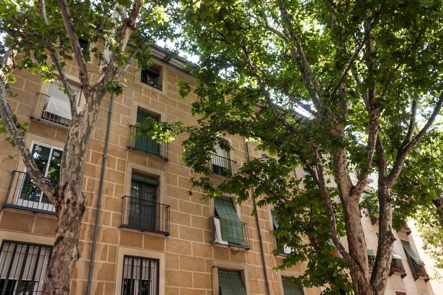 Estudio en calle de la Ribera de Curtidores, 3 - Foto 15