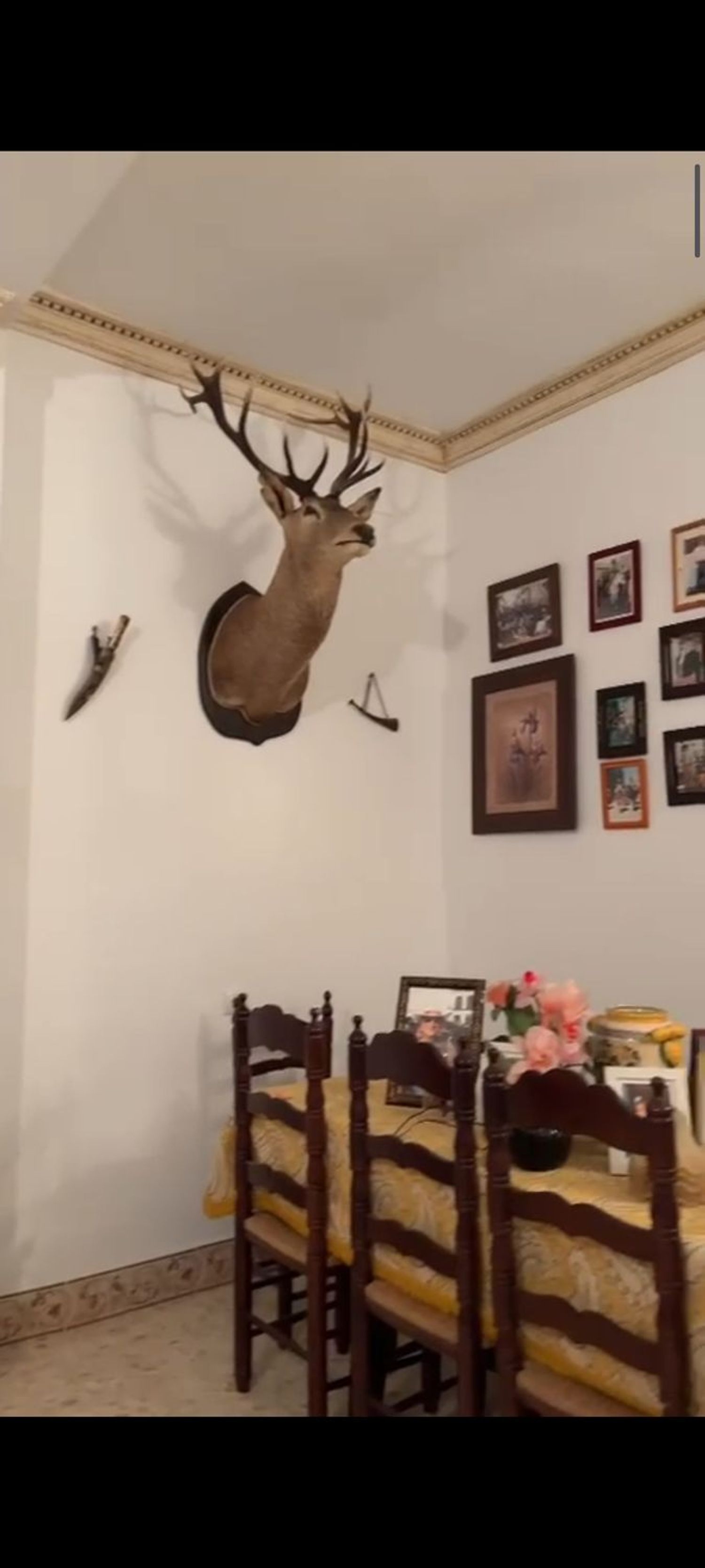 Casa terrera en Calle Sanlúcar, 130 - Foto 7
