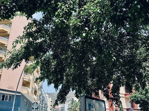 Estudio en Calle San Martín, 64, Toscal - Foto 12