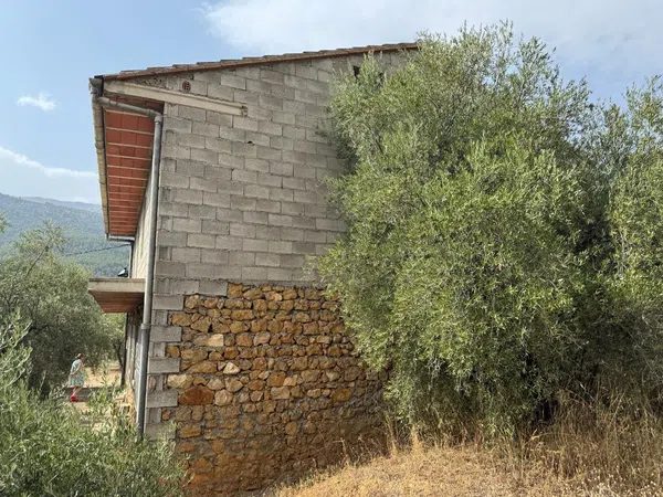Casa o chalet independiente en Calle Plañel s/n - Foto 15