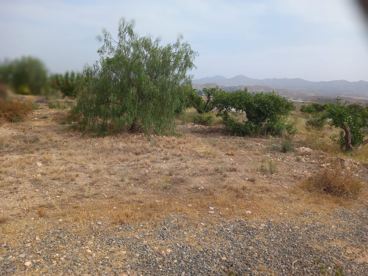Casa rural en Diseminado el Charcon, 1 - Foto 6