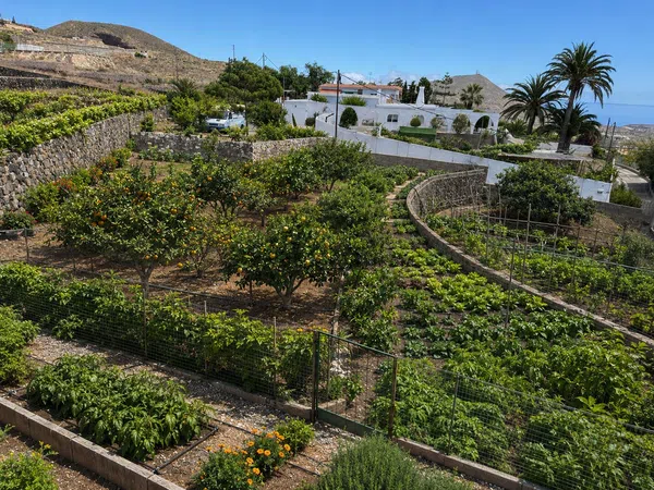 Casa o chalet independiente en Carretera General a los Abrigos, 97, Aldea Blanca-Las Zocas, Aldea Blanca-Las Zocas - Foto 32