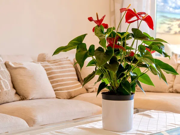 Piso en calle Pico Alcazaba, 15 - Foto 17