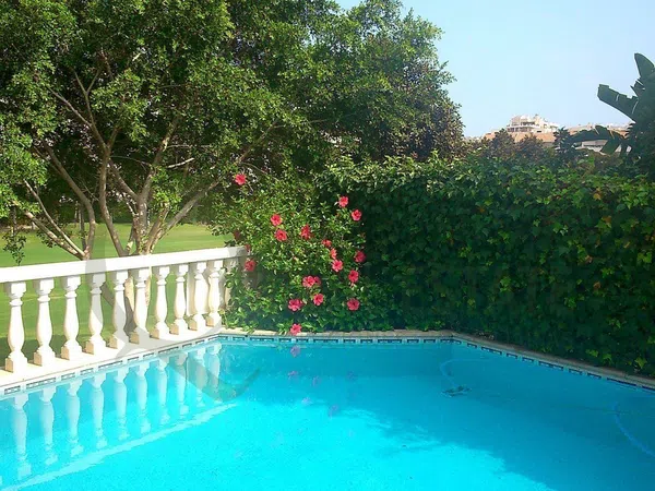 Casa o chalet independiente en Alicante Golf, Alicante Golf - Foto 37