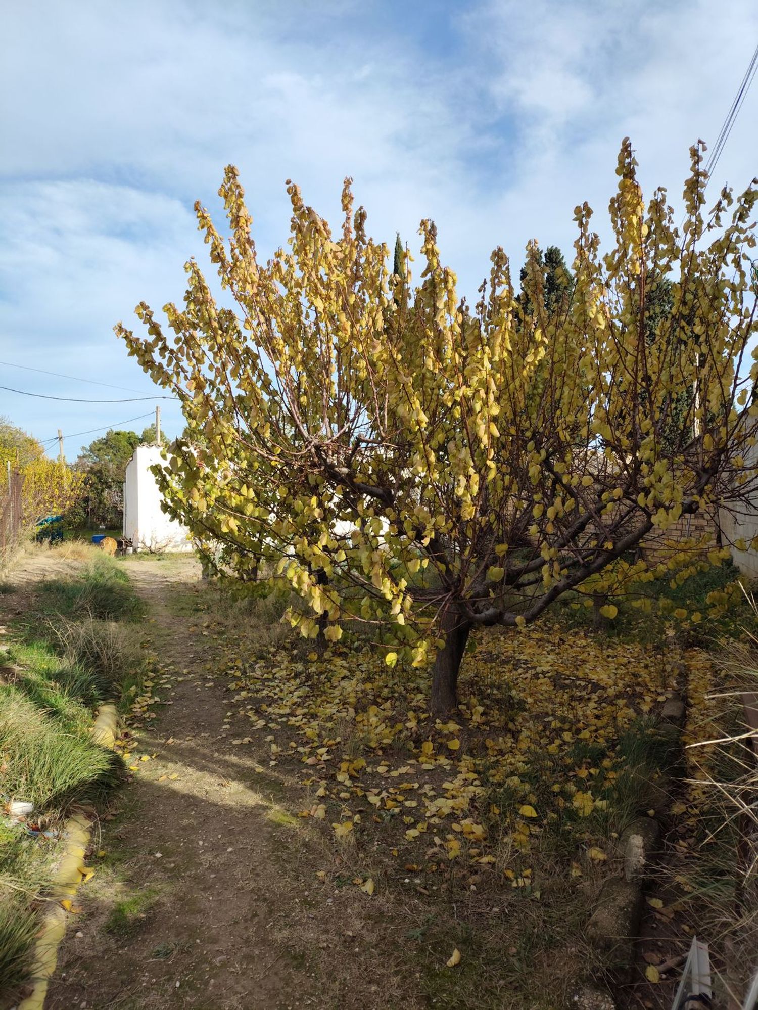 Casa rural en camino Enmedio s/n sn - Foto 14