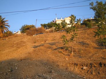 Terreno Residencial en  Calle Barranco del Abogado 26 - Foto 6