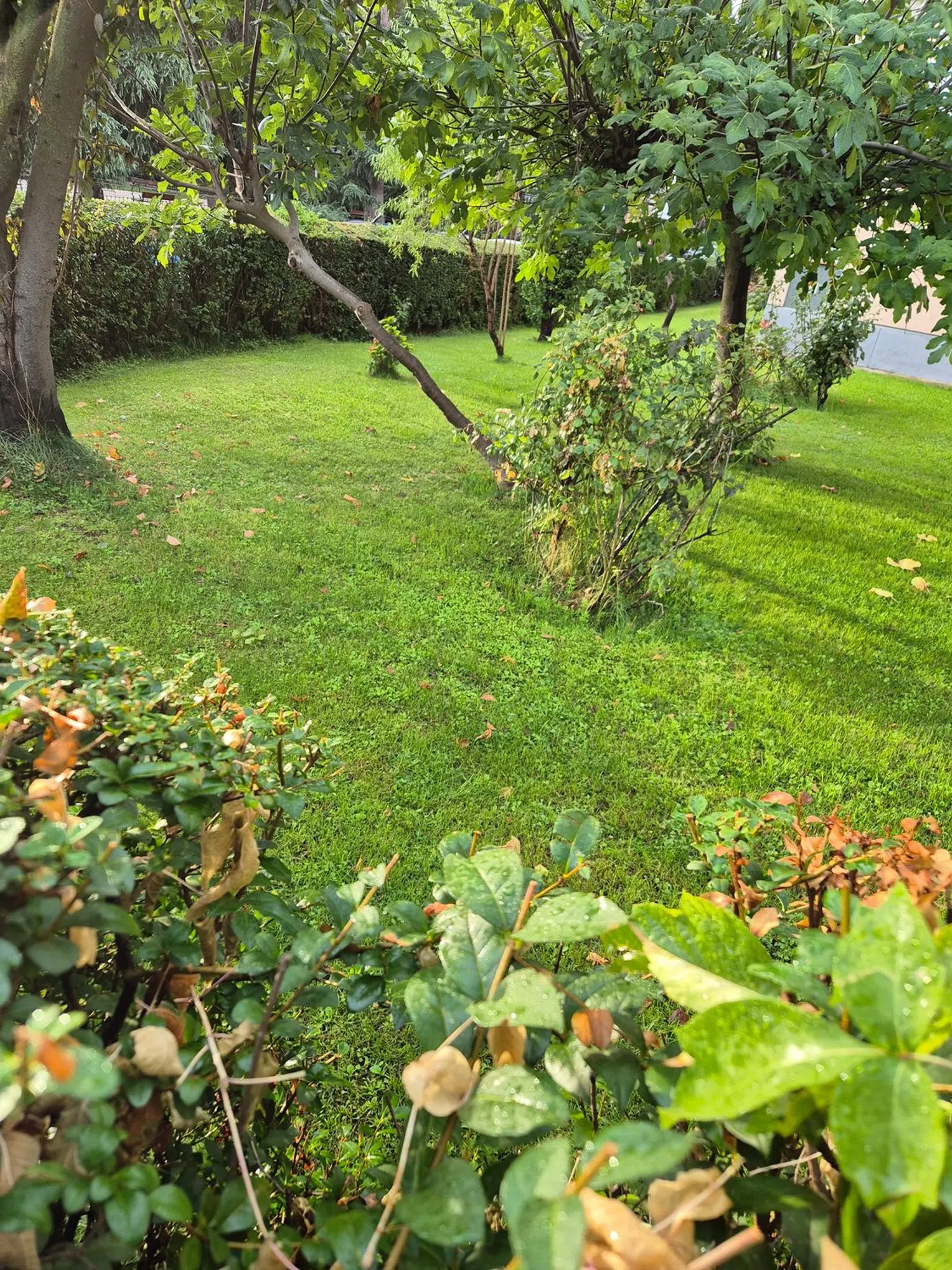 Piso en Barrio Águilas - Foto 1