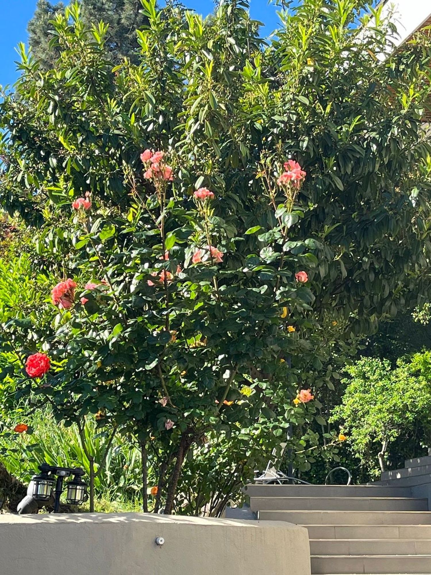 Casa independiente en calle de Hoyos del Espino, 17 - Foto 17