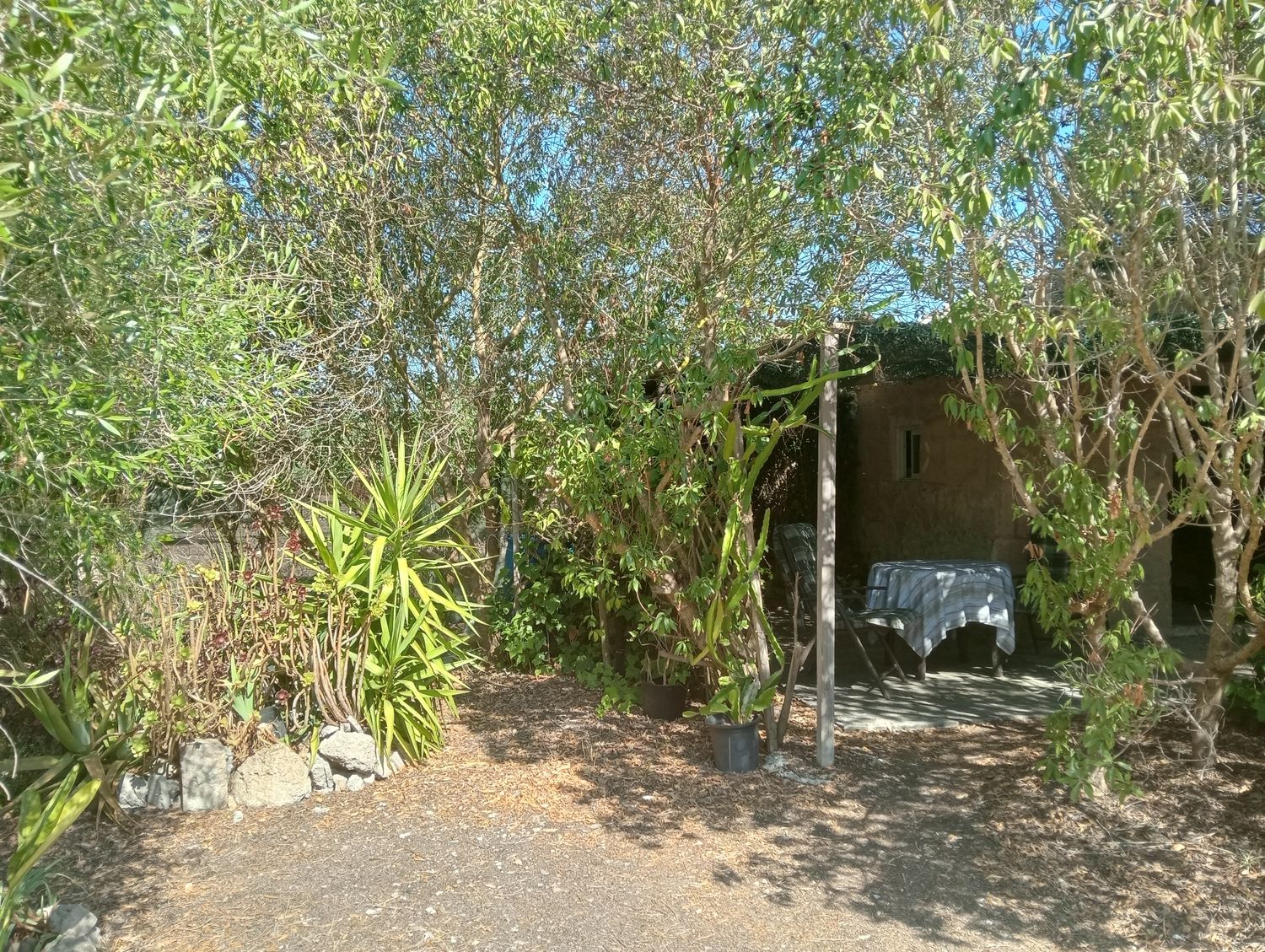 Finca rústica en Son santandreu, 541 - Foto 7