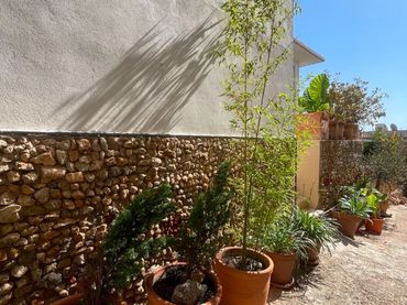Chalet en  Palma de Mallorca - Foto 38