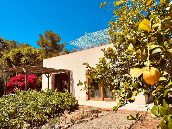 Casa o chalet independiente en Santa Gertrudis - Foto 11