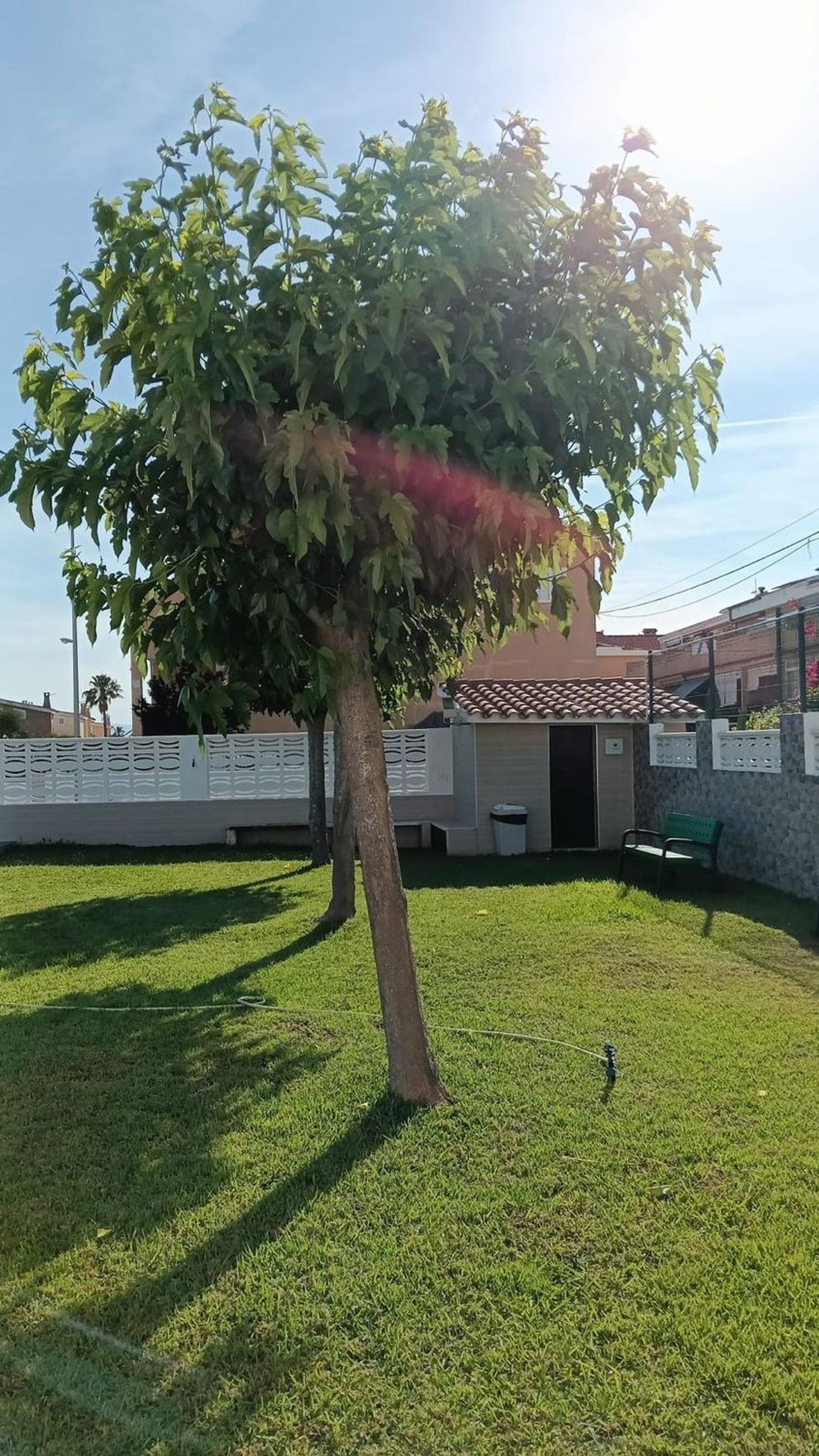 Chalet adosado en Avenida columbretes, 55 - Foto 26
