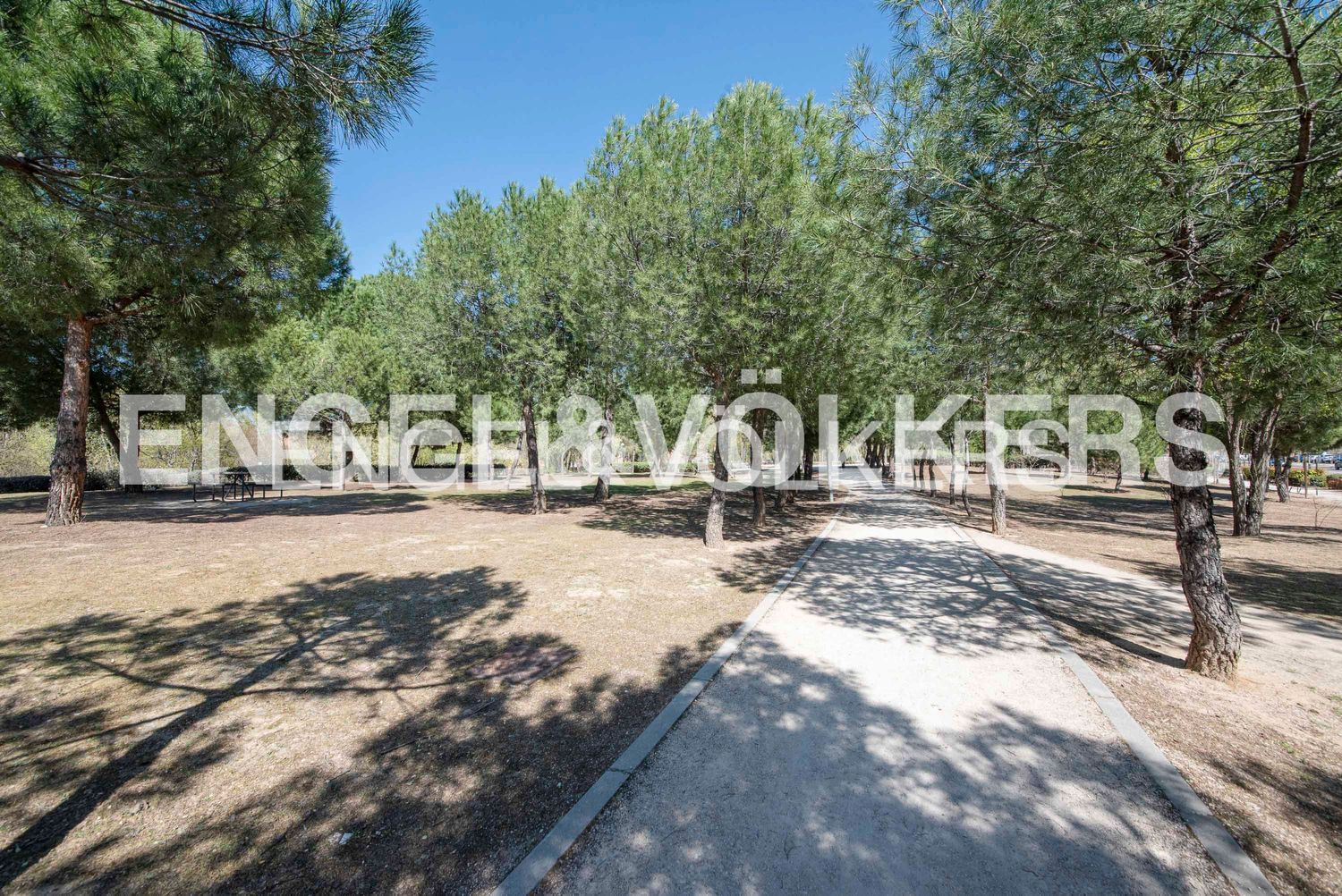 Piso en Prado de Somosaguas, Prado de Somosaguas - Foto 17