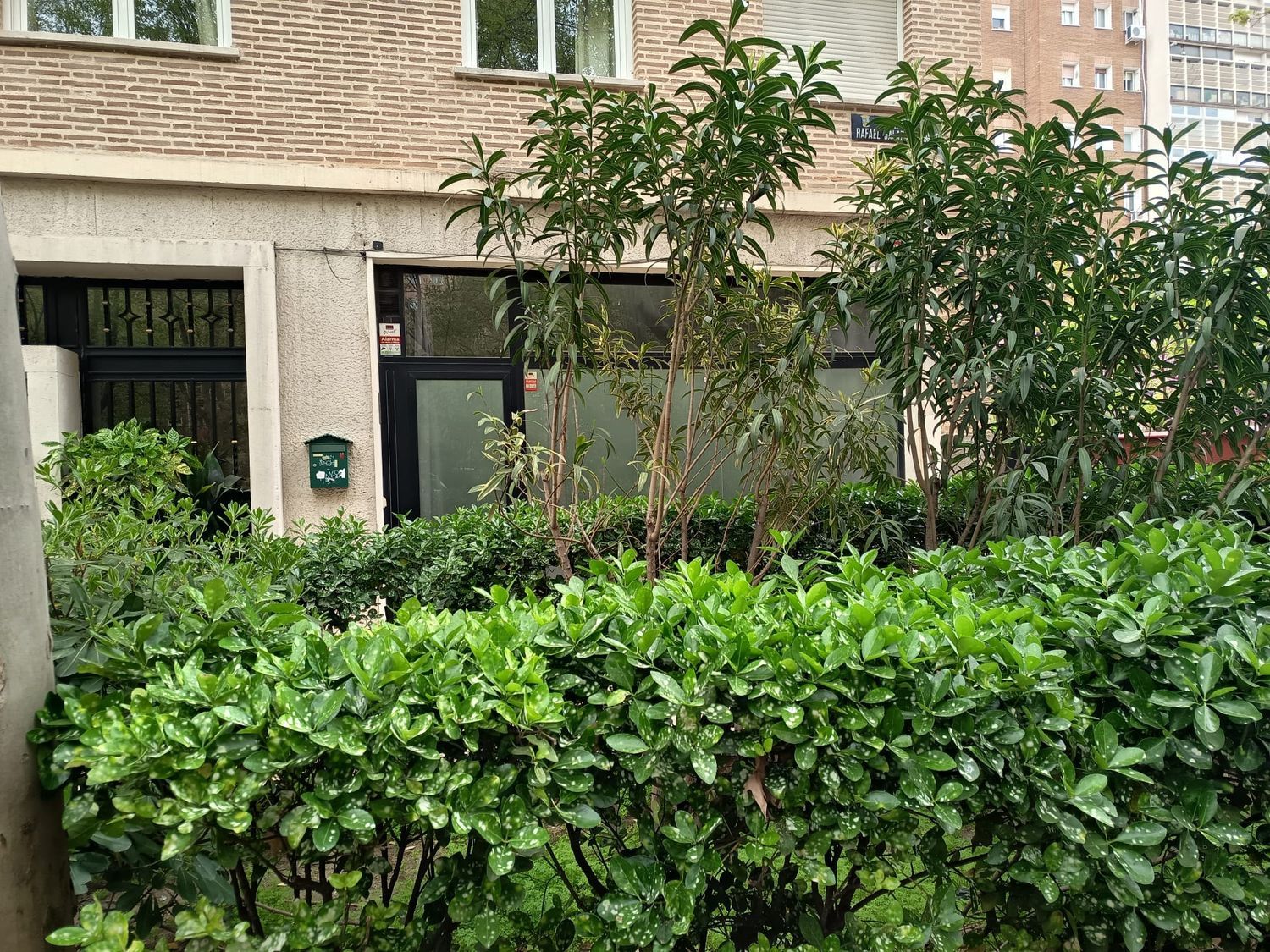 Estudio en calle de Rafael Salazar Alonso, 20 - Foto 3