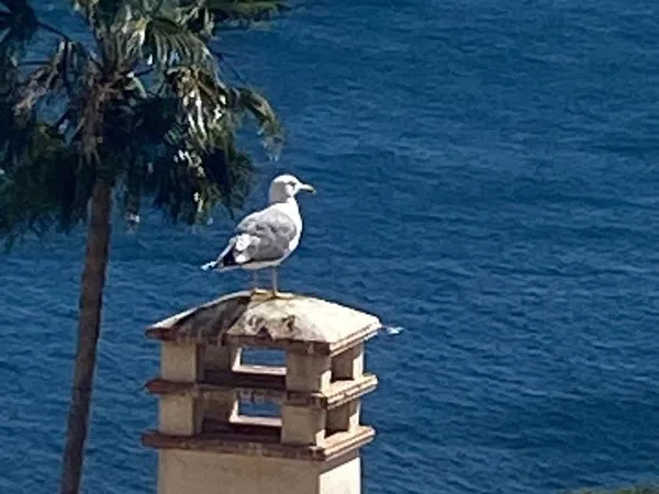 Piso en Punta La Mona - Foto 3