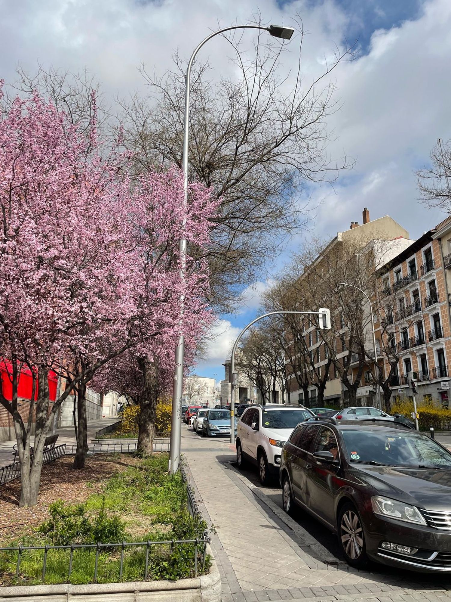 Piso en Barrio Imperial - Foto 36