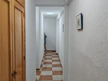 Piso en Barrio universitario - Foto 3