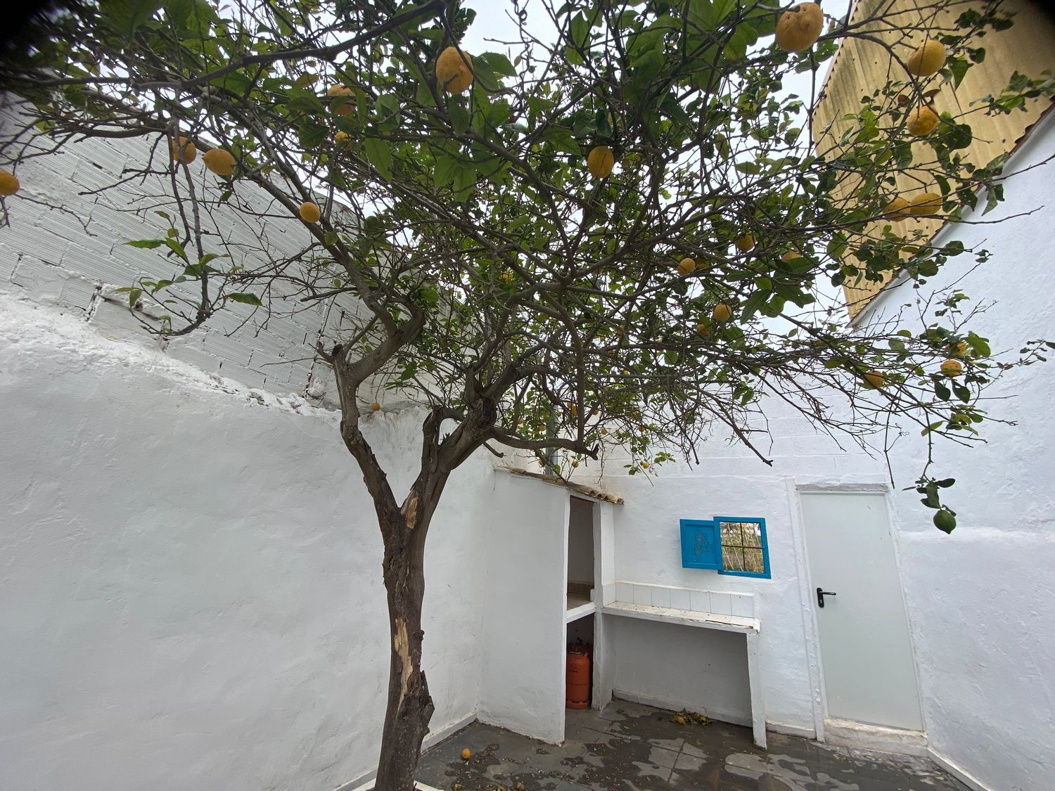 Casa de pueblo en Calle Sau-Mareny Vilches, 280 - Foto 12