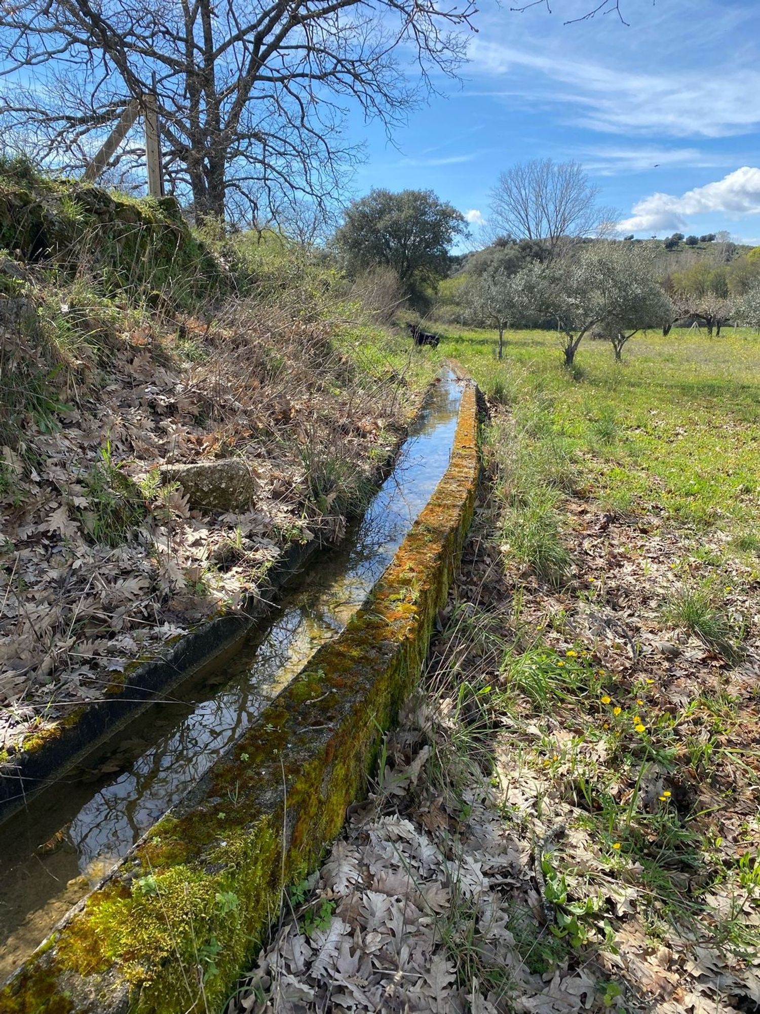 Casa rural en Arenas de San Pedro - Foto 9