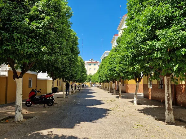 Piso en plaza San Gabriel, 4 - Foto 15