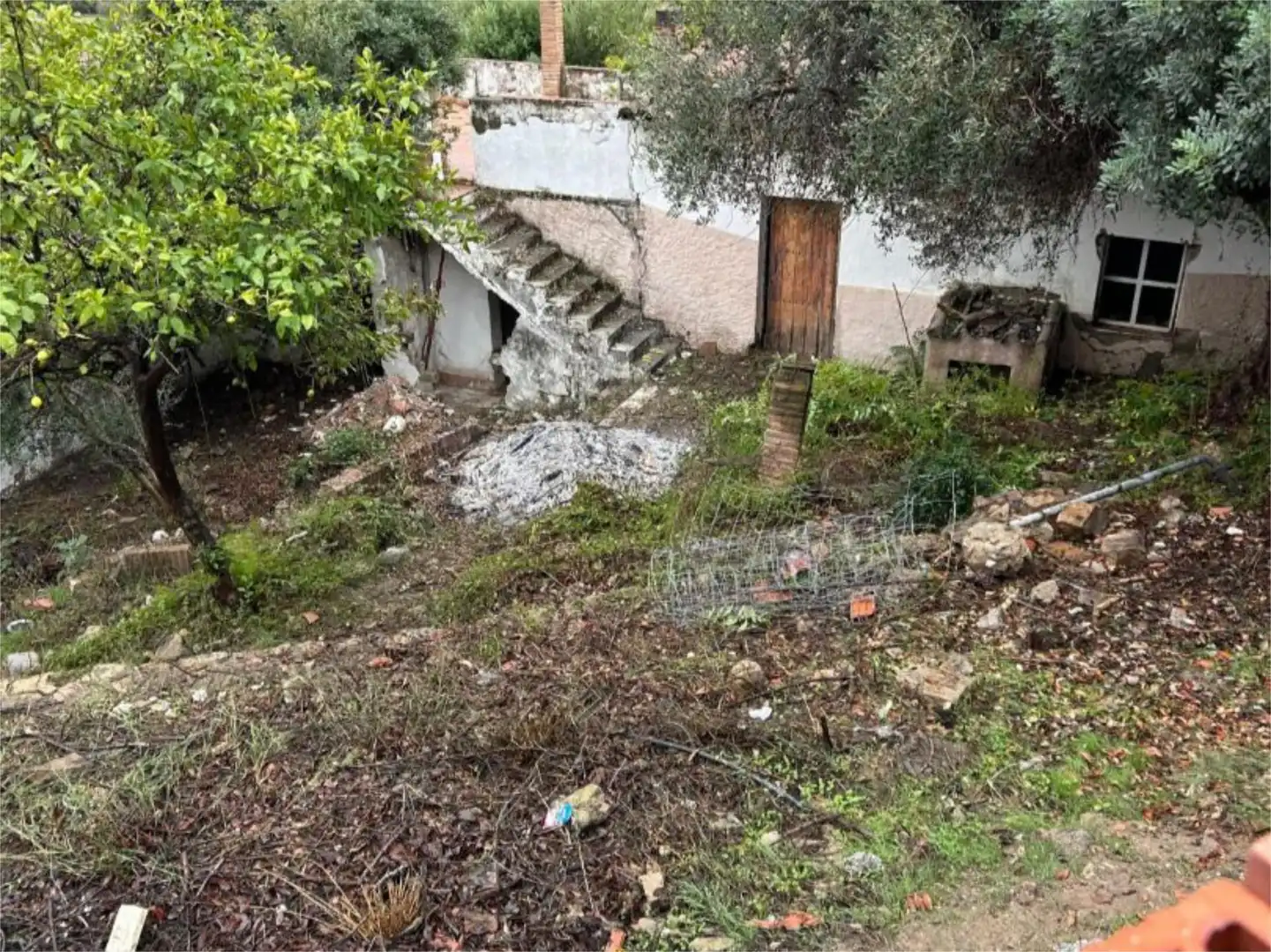 Finca rústica en  Calle Pasada de Alcalá 24 - Foto 2