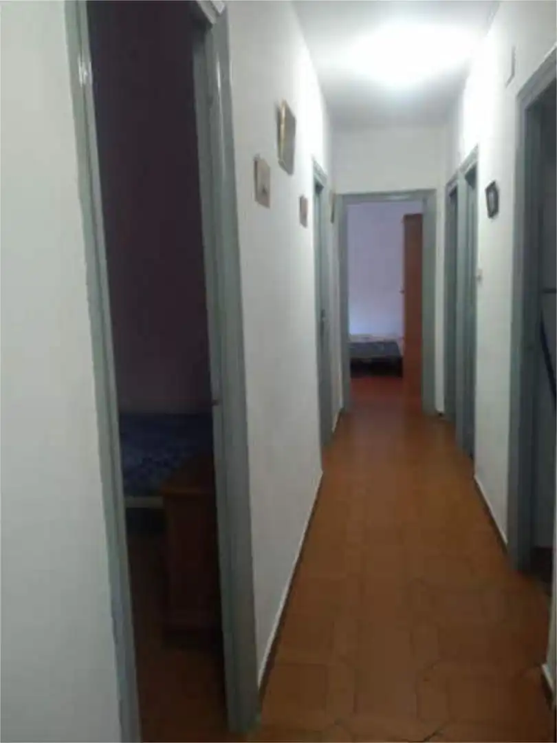Piso en Facultad de Ciencias - Foto 4
