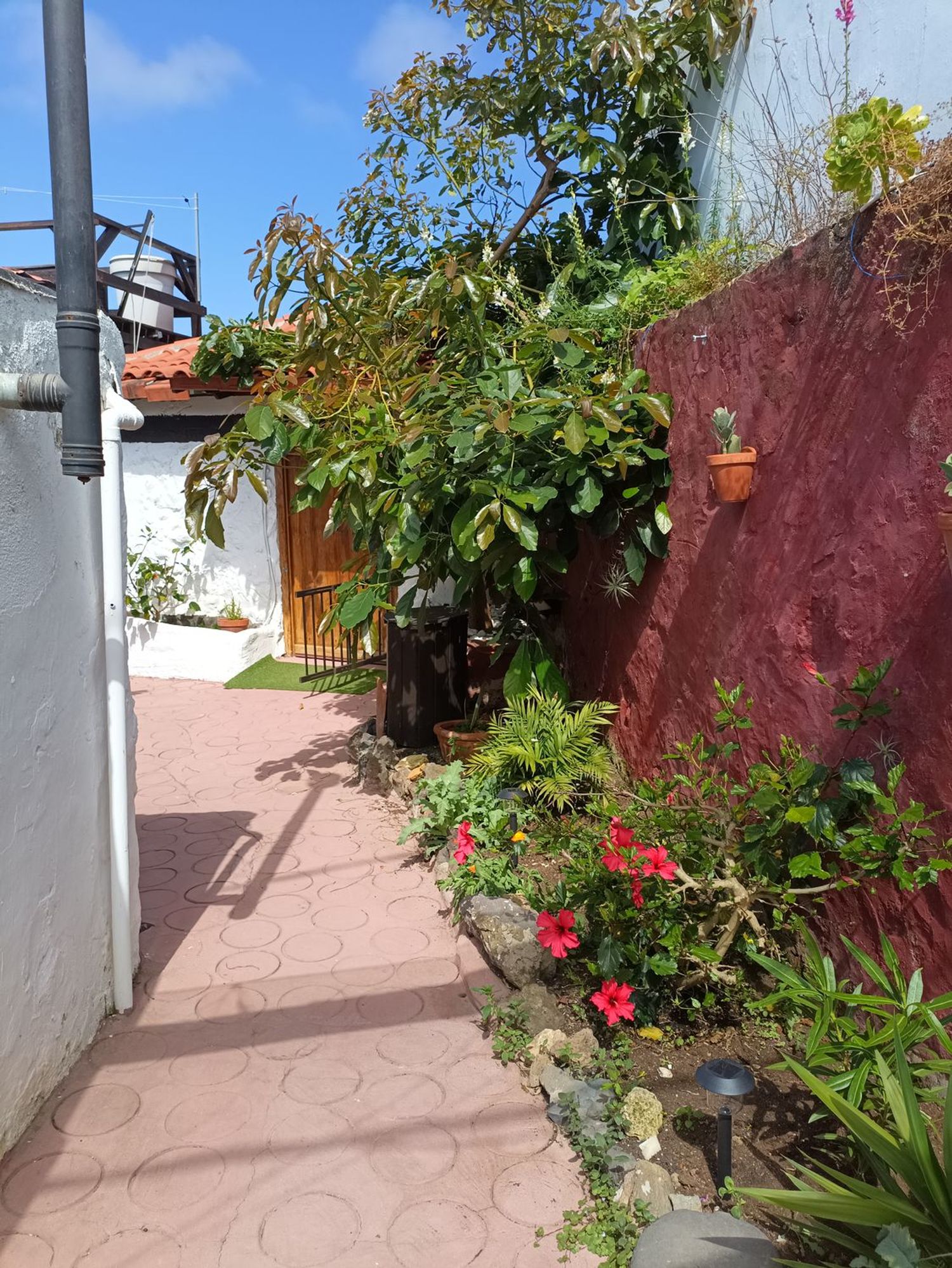 Casa rural en Bajada del Pino, 31, La Vega-El Amparo-Cueva del Viento, La Vega-El Amparo-Cueva del Viento - Foto 11