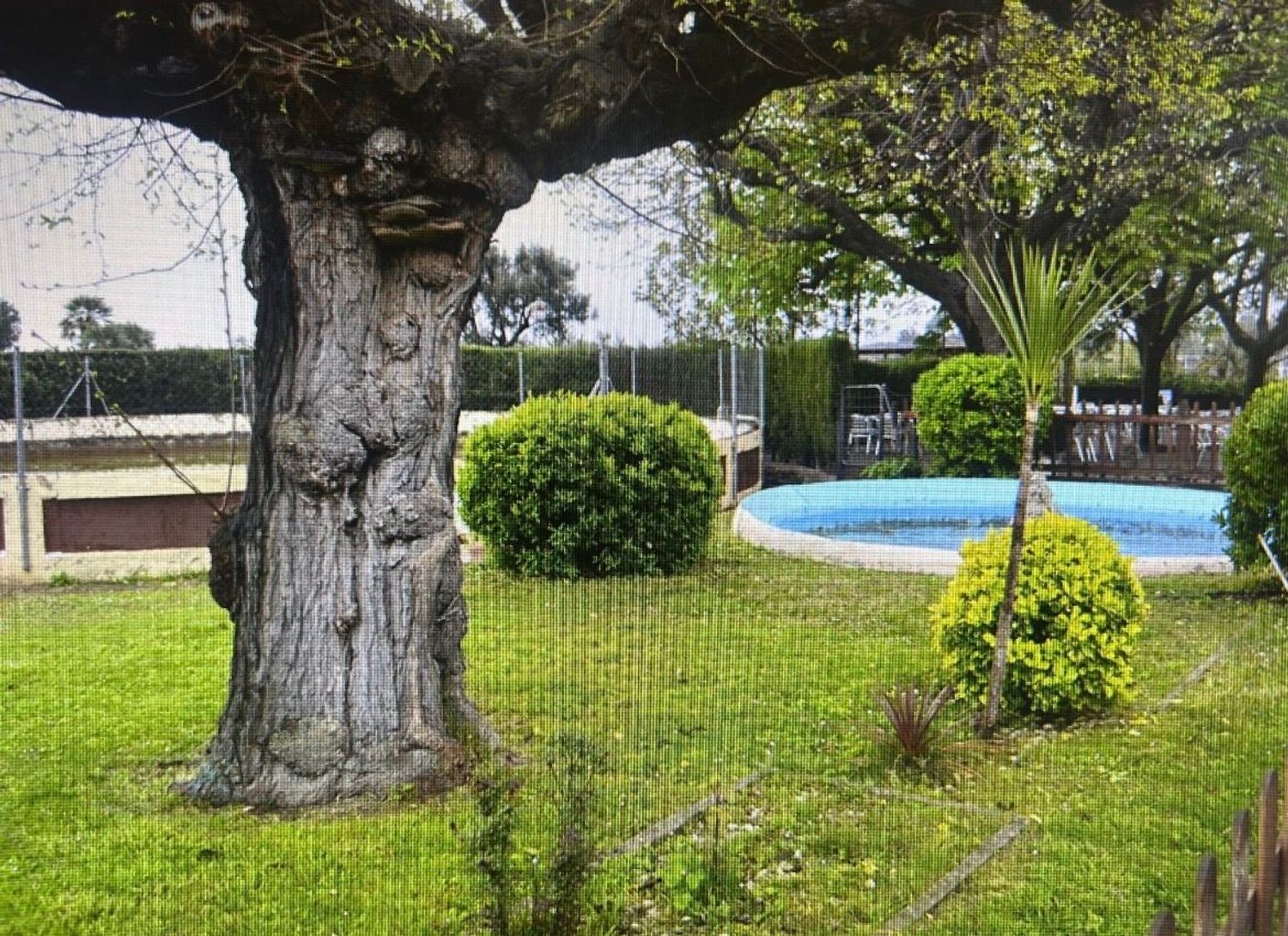 Restaurante en calle Ca n'Avellaneda, 24 - Foto 11