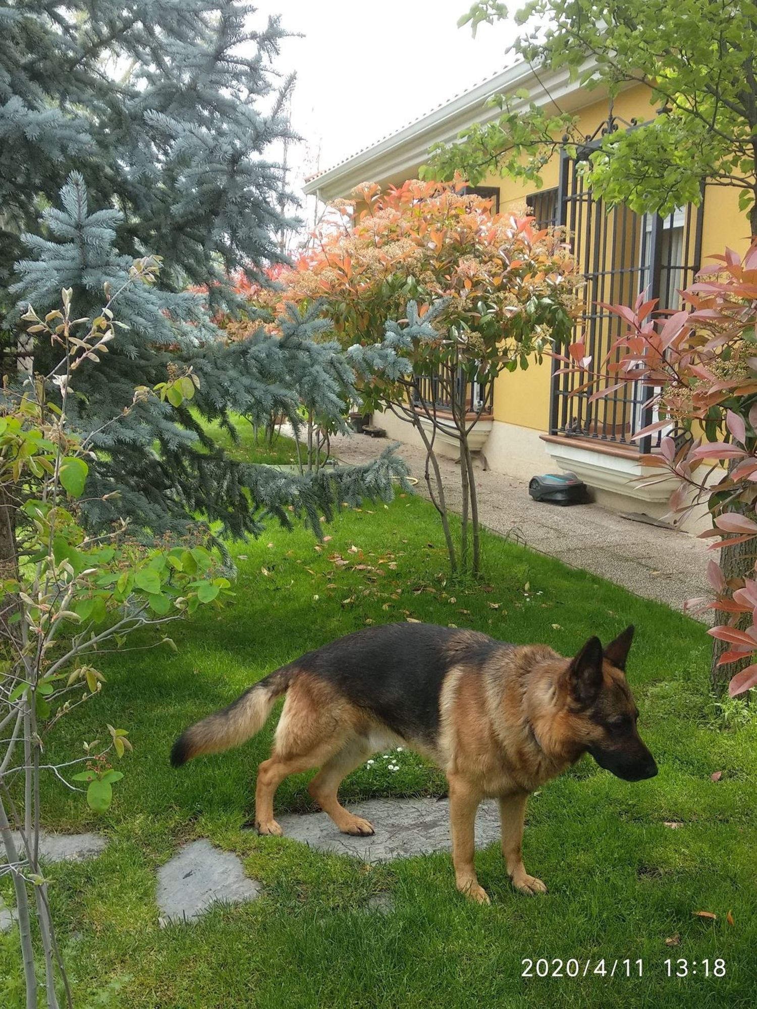 Casa independiente en Urb. campodón Barrio Campodón - Ventorro del Cano - Foto 26
