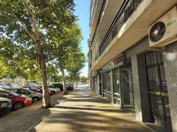 Piso en Calle Torneo, 79, San Vicente - Foto 4