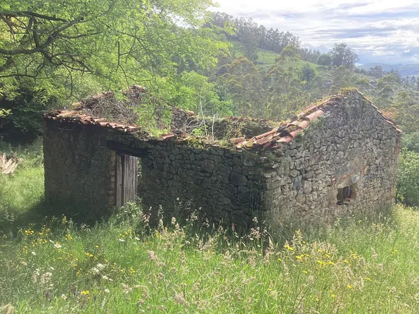 Casa rural en Avenida Alisas, 3 Km - Foto 1