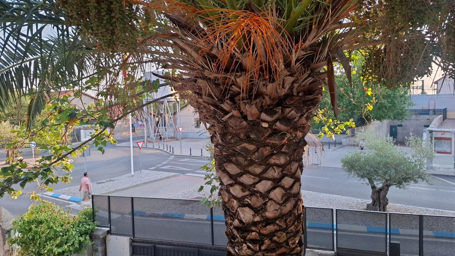 Alquiler de ático en Calle Martín Iriarte, 21 - Foto 9