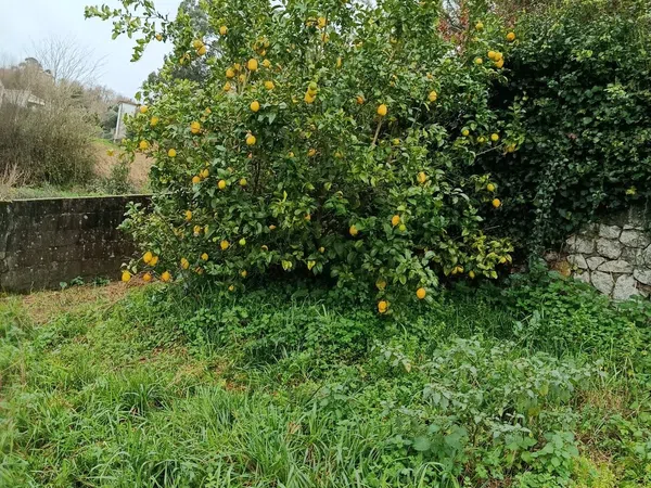Casa independiente en calle Menciñeiros, 9 - Foto 34