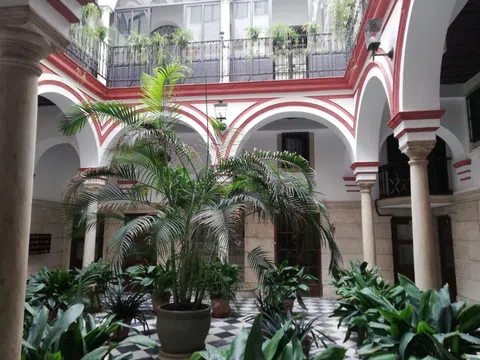 Estudio en calle Federico Sánchez Bedoya, 9