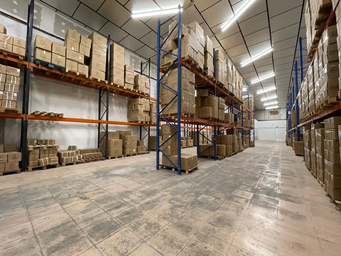 Nave Industrial en L'Hospitalet de Llobregat - Foto 9