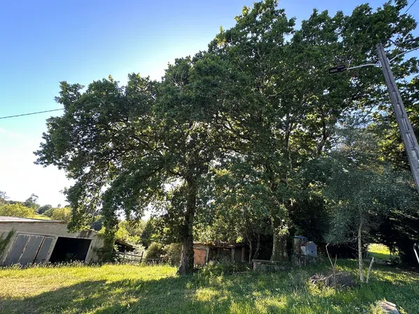 Casa rural en O Carballo, 1 - Foto 6