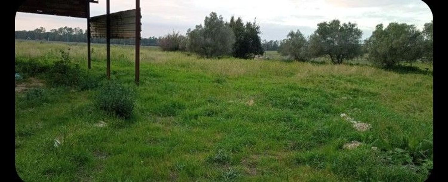 Finca rústica en Ca-3109 s/n - Foto 14