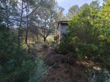Finca rústica en  Avinguda Saragossa 2 - Foto 51