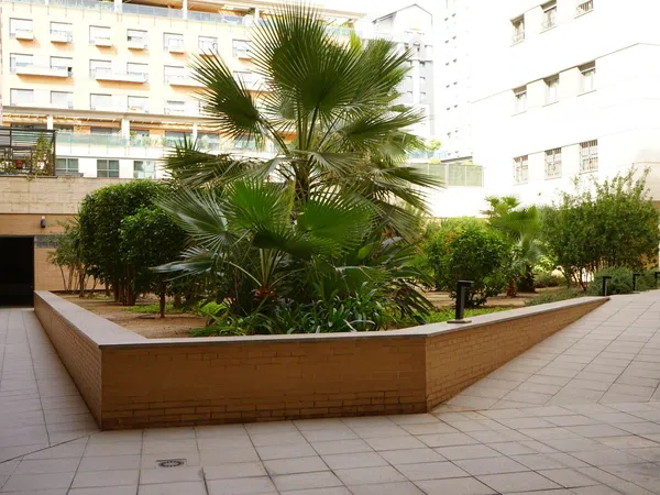 Piso en calle Camilo José Cela, 1 - Foto 16